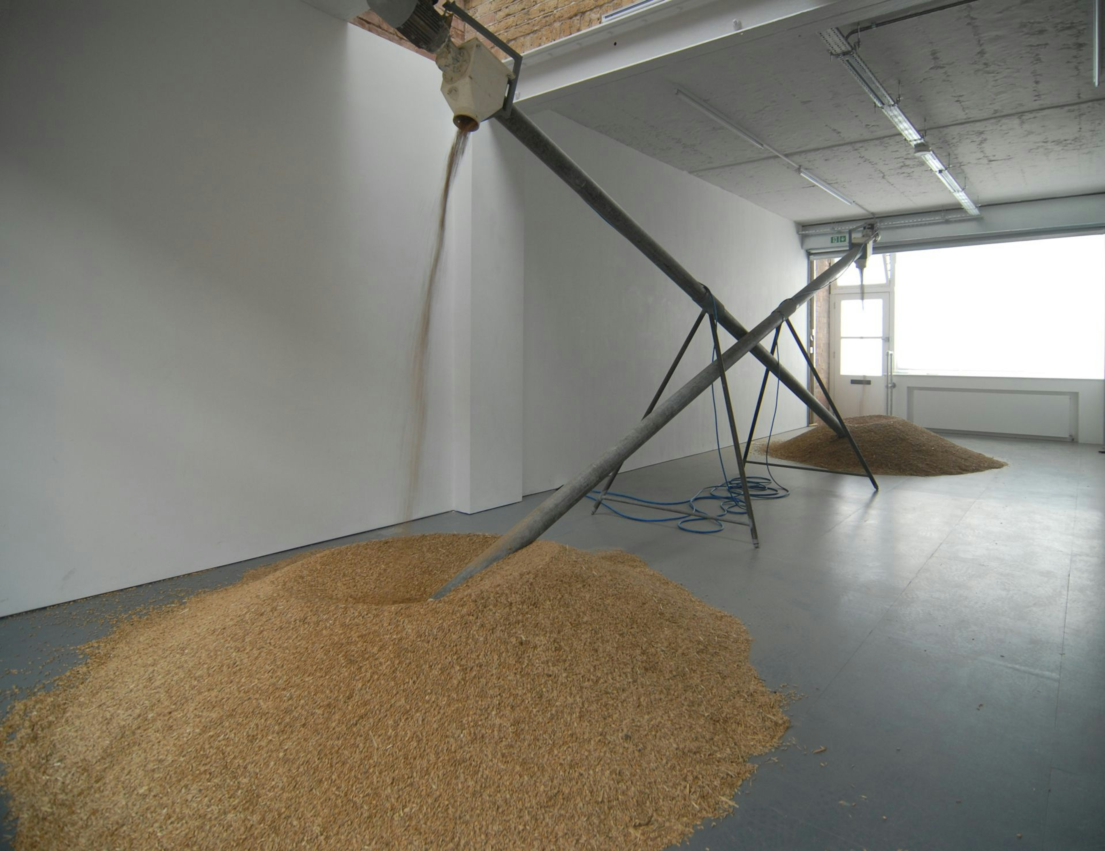 Two agricultural grain augers installed in no show gallery with two piles of grain